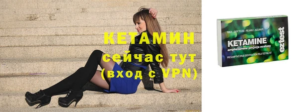 шишки Корсаков