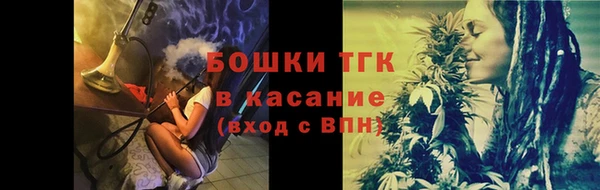 шишки Корсаков