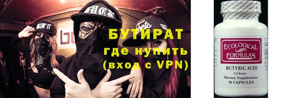 шишки Корсаков