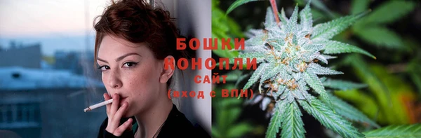 шишки Корсаков