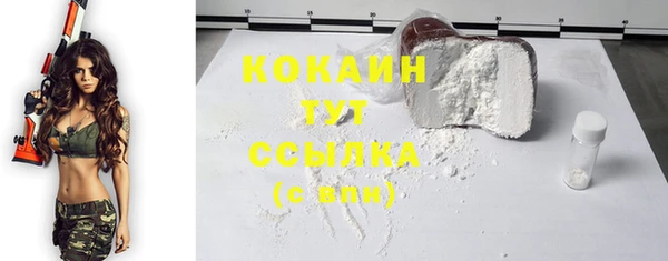 бошки Кодинск
