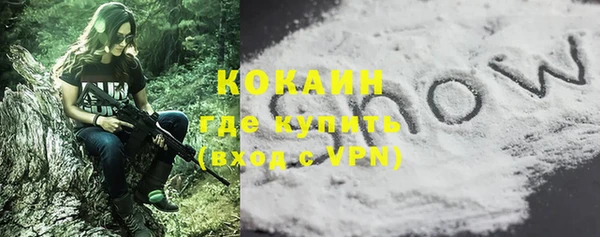 шишки Корсаков