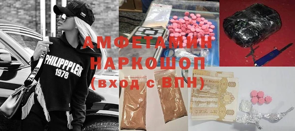 шишки Корсаков
