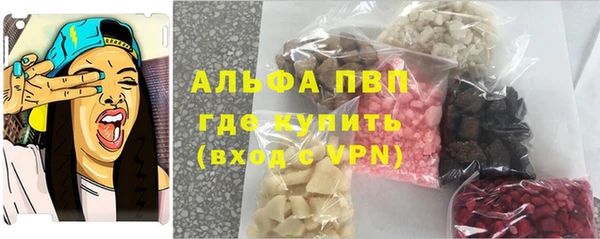 шишки Корсаков