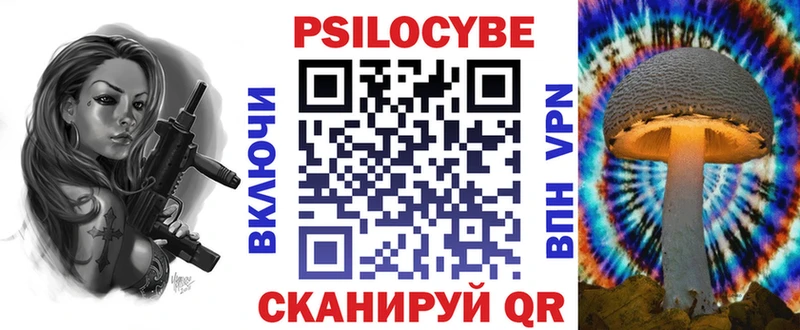 хочу Иннополис Галлюциногенные грибы Psilocybe